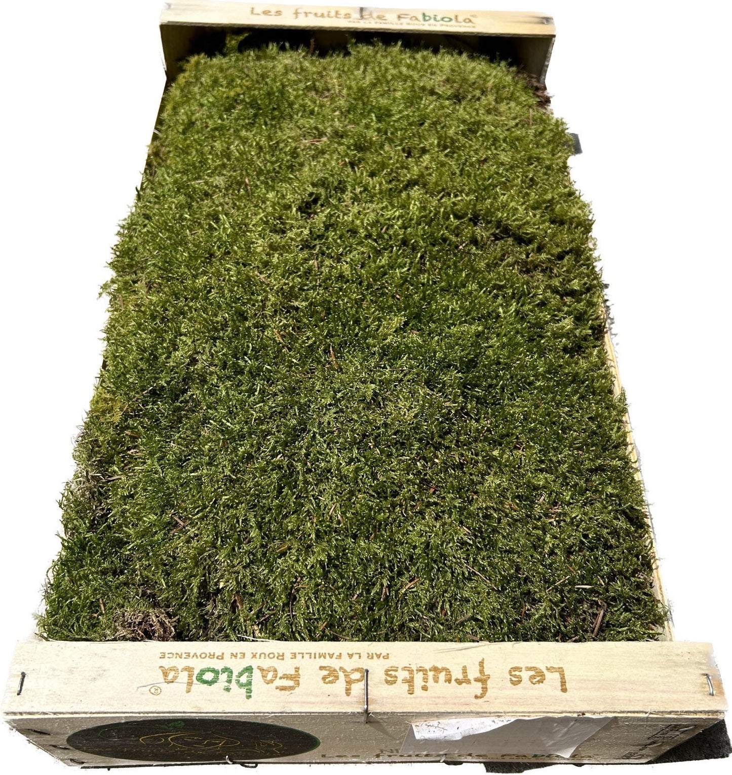 Mousse Plate Végétale Naturelle - 0,6 m²